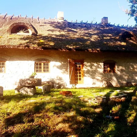 Paali Cottages Tornimae Exterior photo