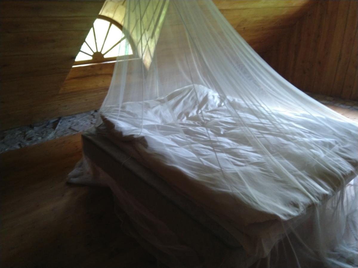 Paali Lodge